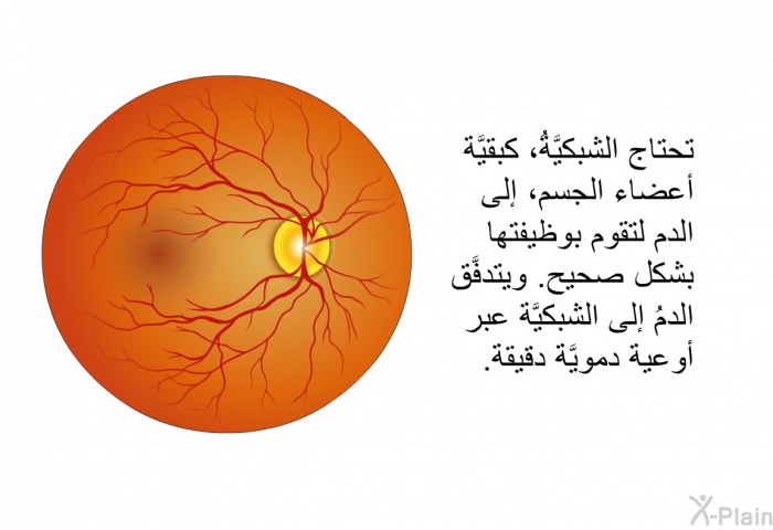 تحتاج الشبكيَّةُ، كبقيَّة أعضاء الجسم، إلى الدم لتقوم بوظيفتها بشكل صحيح. ويتدفَّق الدمُ إلى الشبكيَّة عبر أوعية دمويَّة دقيقة.