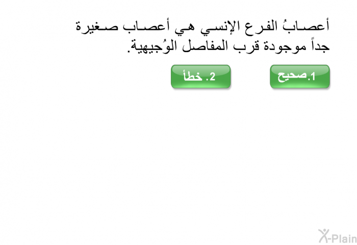 أعصابُ الفرع الإنسي هي أعصاب صغيرة جداً موجودة قرب المفاصل الوُجيهية.