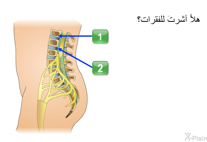 هلاَّ أشرتَ للفقرات؟