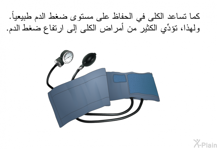 كما تساعد الكلى في الحفاظ على مستوى ضغط الدم طبيعياً. ولهذا، تؤدِّي الكثير من أمراض الكلى إلى ارتفاع ضغط الدم.