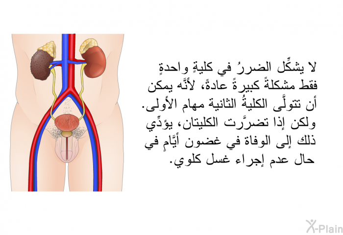 لا يشكِّل الضررُ في كليةٍ واحدةٍ فقط مشكلةً كبيرةً عادةً، لأنَّه يمكن أن تتولَّى الكليةُ الثانية مهام الأولى. ولكن إذا تضرَّرت الكليتان، يؤدِّي ذلك إلى الوفاة في غضون أيَّامٍ في حال عدم إجراء غسل كلوي.