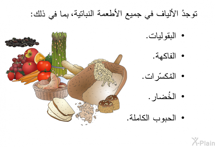 توجدُ الألياف في جميع الأطعمة النباتية، بما في ذلك:   البقوليات.  الفاكهة.  المُكسّرات.  الخُضار. الحبوب الكاملة.