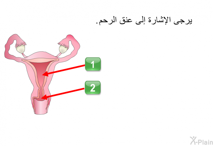 يرجى الإشارة إلى عنق الرحم. اضغط 1 أو 2.