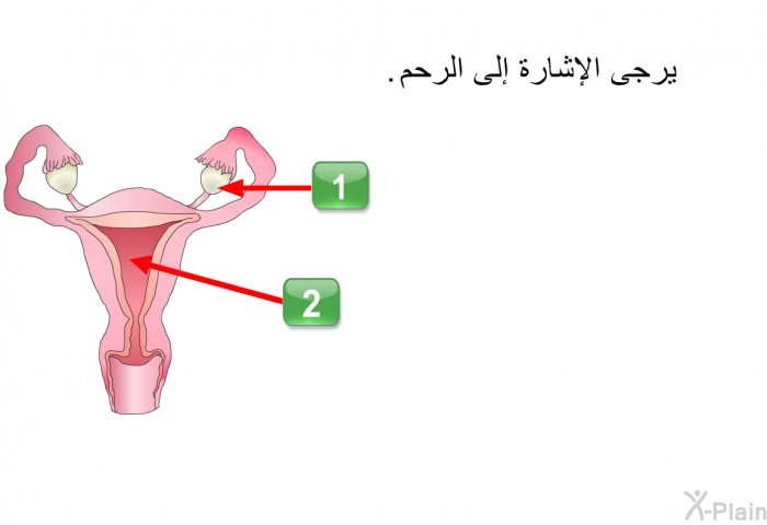 يرجى الإشارة إلى الرحم. اضغط 1 أو 2.