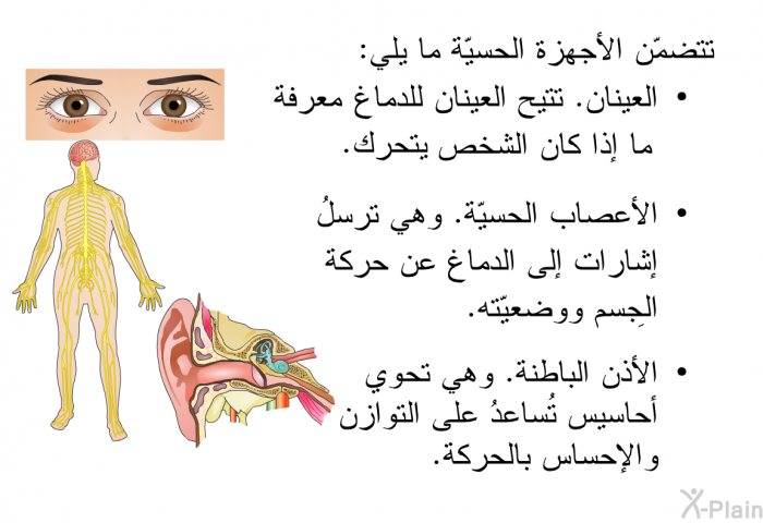تتضمّن الأجهزة الحسيّة ما يلي:   العينان. تتيح العينان للدماغ معرفةَ ما إذا كان الشخص يتحرك.  الأعصاب الحسيّة. وهي ترسلُ إشارات إلى الدماغ عن حركَة الجِسم ووضعيّته. الأذن الباطنة. وهي تحوي أحاسيس تُساعدُ على التوازن والإحساس بالحركة.