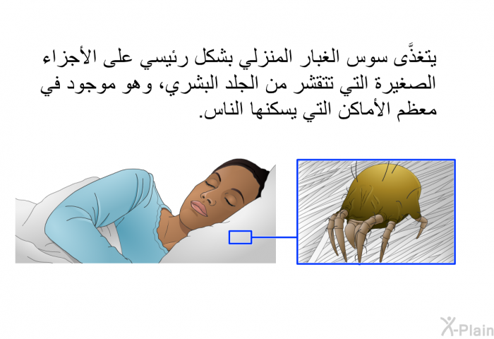 يتغذَّى سوس الغبار المنزلي بشكل رئيسي على الأجزاء الصغيرة التي تتقشر من الجلد البشري، وهو موجود في معظم الأماكن التي يسكنها الناس.