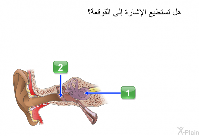 هل تستطيع الإشارة إلى القوقعة؟