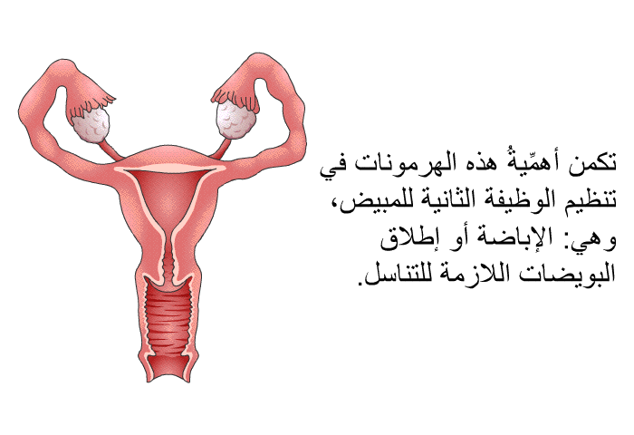 تكمن أهمِّيةُ هذه الهرمونات في تنظيم الوظيفة الثانية للمبيض، وهي: الإباضة أو إطلاق البويضات اللازمة للتناسل.