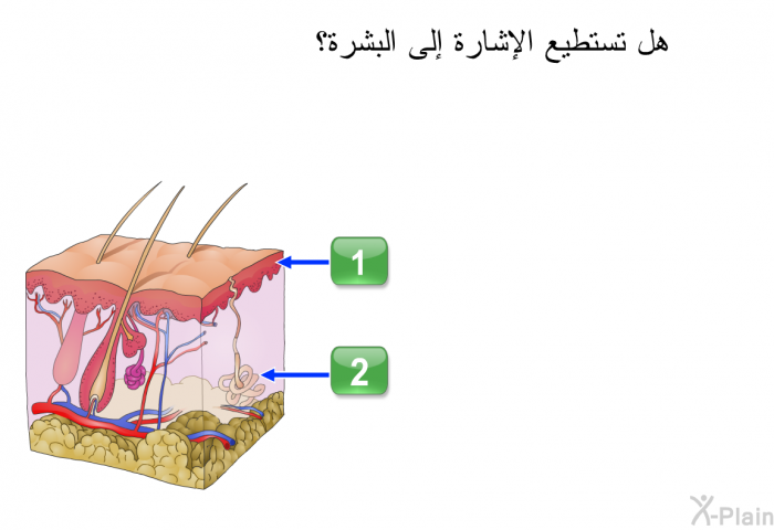 هل تستطيع الإشارة إلى البشرة؟