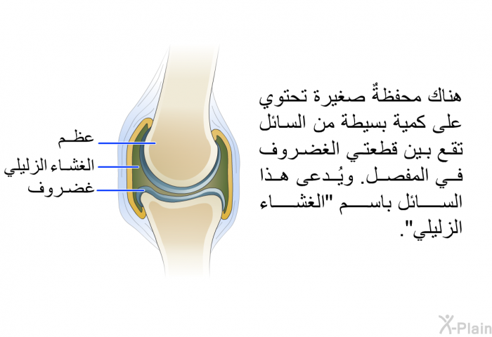 هناك محفظةٌ صغيرة تحتوي على كمية بسيطة من السائل تقع بين قطعتي الغضروف في المفصل. ويُدعى هذا السائل باسم "الغشاء الزليلي".
