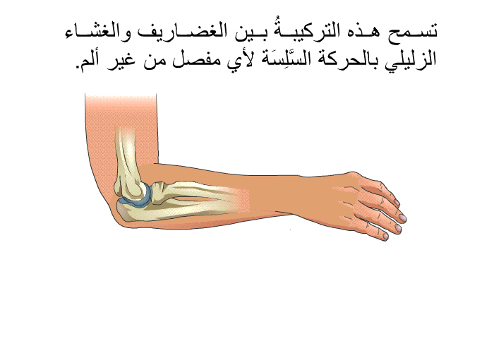 تسمح هذه التركيبةُ بين الغضاريف والغشاء الزليلي بالحركة السَّلِسَة لأي مفصل من غير ألم.