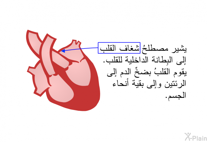 يشير مصطلحُ شغاف القلب إلى البِطانة الداخلية للقلب. يقوم القلبُ بضخِّ الدم إلى الرئتين وإلى بقية أنحاء الجسم.