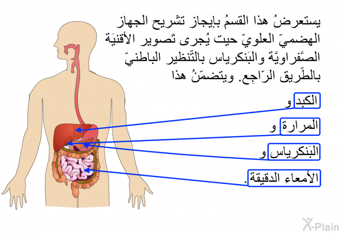 يستعرضُ هذا القسمُ بإيجاز تشريح الجهاز الهضميّ العلويّ حيت يُجرى تَصوير الأقنيَة الصَّفراويَّة والبَنكرياس بالتّنظير الباطنيّ بالطّريق الرّاجِع. ويتضمّنُ هذا الكبد والمرارة والبَنكرياس والأمعاء الدقيقة.