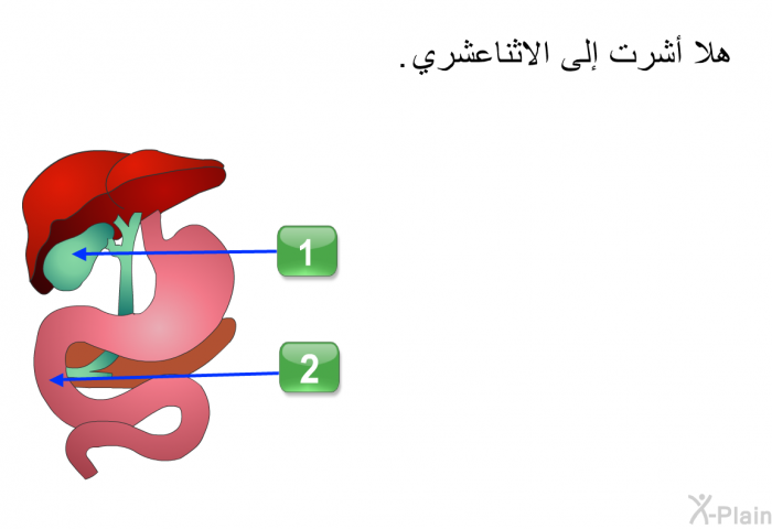 هلا أشرت إلى الاثناعشري.