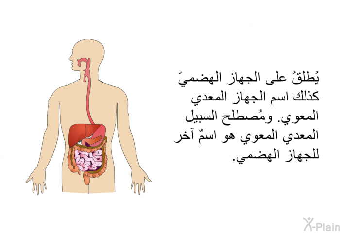 يُطلقُ على الجهاز الهضميّ كذلك اسم الجهاز المعدي المعوي. ومُصطلح السبيل المعدي المعوي هو اسمٌ آخر للجهاز الهضمي.