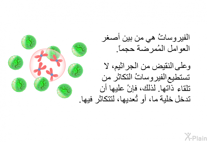 الفيروساتُ هي من بين أصغر العوامل المُمرضة حجماً. وعلى النقيض من الجراثيم، لا تستطيع الفيروساتُ التكاثرَ من تلقاء ذاتها. لذلك، فإنَّ عليها أن تدخل خلية ما، أو تُعديها، لتتكاثرَ فيها.