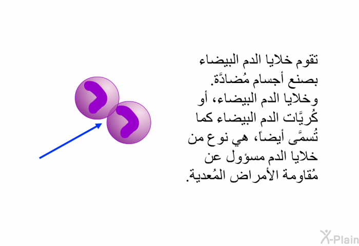 تقوم خلايا الدم البيضاء بصنع أجسام مُضادَّة. وخلايا الدم البيضاء، أو كُريَّات الدم البيضاء كما تُسمَّى أيضاً، هي نوع من خلايا الدم مسؤول عن مُقاومة الأمراض المُعدية.