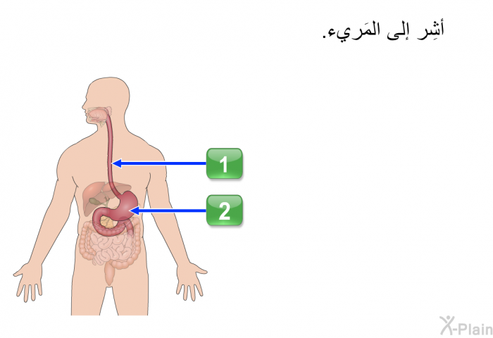 أشِر إلى المَريء.