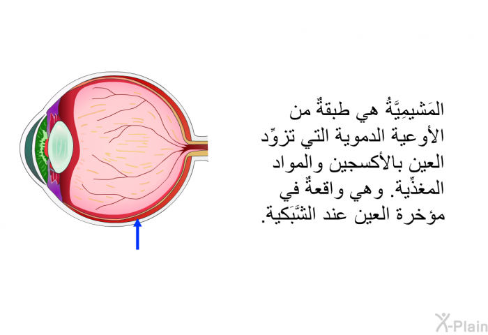 المَشيمِيَّةُ هي طبقةٌ من الأوعية الدموية التي تزوِّد العين بالأكسجين والمواد المغذِّية. وهي واقعةٌ في مؤخرة العين عند الشَّبَكية.