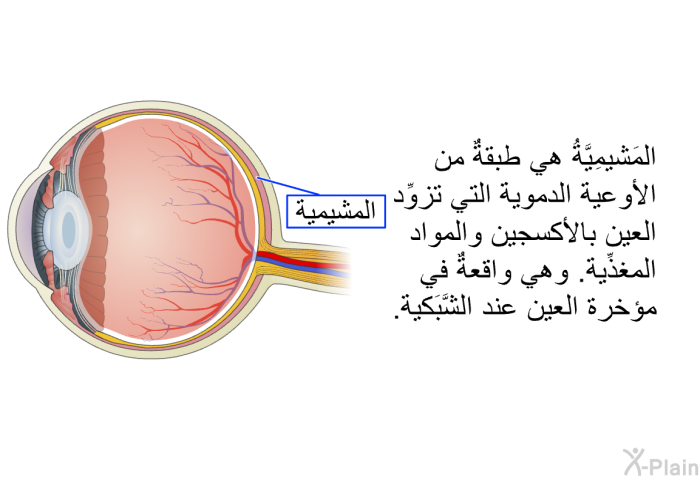 المَشيمِيَّةُ هي طبقةٌ من الأوعية الدموية التي تزوِّد العين بالأكسجين والمواد المغذِّية. وهي واقعةٌ في مؤخرة العين عند الشَّبَكية.