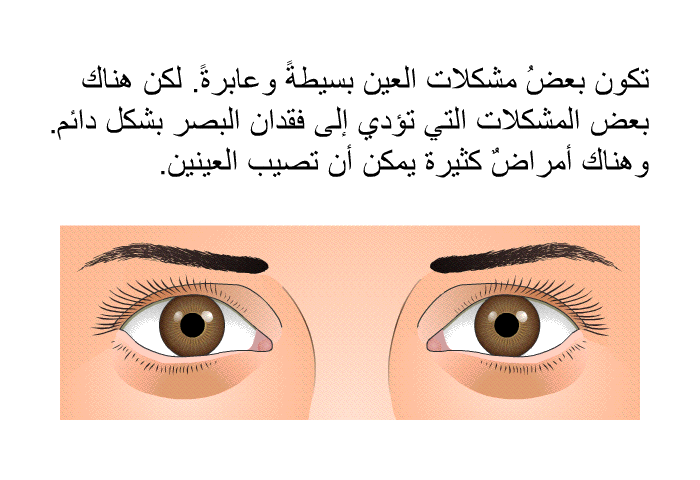 تكون بعضُ مشكلات العين بسيطةً وعابرةً. لكن هناك بعض المشكلات التي تؤدي إلى فقدان البصر بشكل دائم. وهناك أمراضٌ كثيرة يمكن أن تصيب العينين.