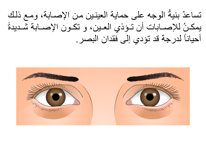 تساعدُ بنيةُ الوجه على حماية العينين من الإصابة، ومع ذلك يمكنُ للإصابات أن تؤذي العين، و تكون الإصابة شديدةً أحياناً لدرجة قد تؤدي إلى فقدان البصر.