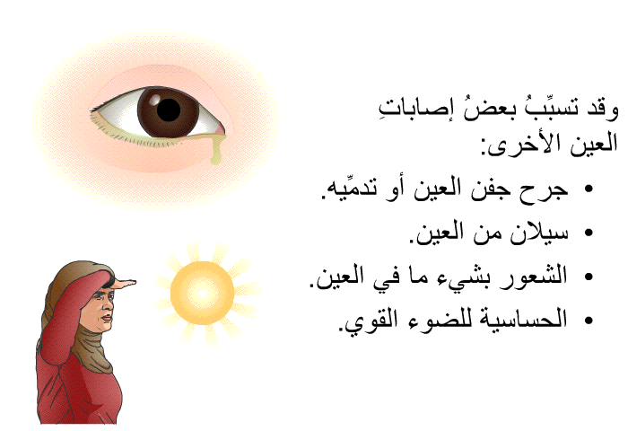 وقد تسبِّبُ بعضُ إصاباتِ العين الأخرى:   جرح جفن العين أو تدمِّيه.  سيلان من العين.  الشعور بشيء ما في العين. الحساسية للضوء القوي.