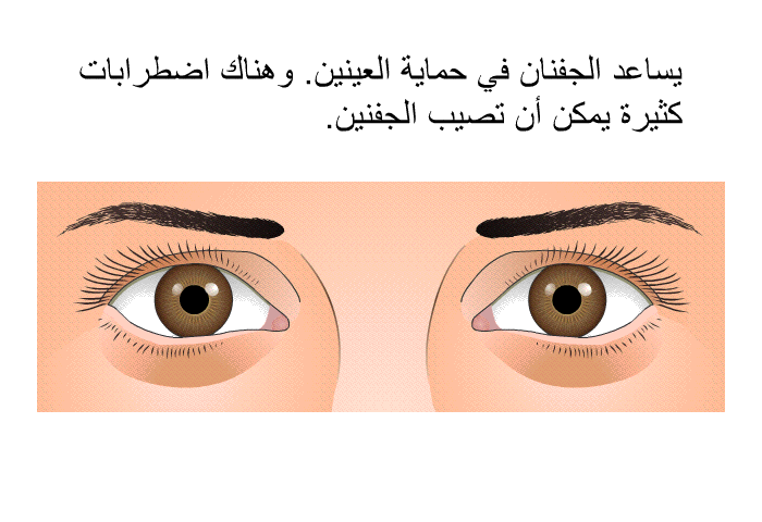 يساعد الجفنان في حماية العينين. وهناك اضطرابات كثيرة يمكن أن تصيب الجفنين.