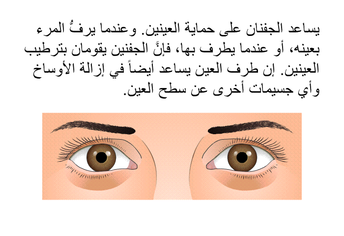 يساعد الجفنان على حماية العينين. وعندما يرفُّ المرء بعينه، أو عندما يطرف بها، فإنَّ الجفنين يقومان بترطيب العينين. إن طرف العين يساعد أيضاً في إزالة الأوساخ وأي جسيمات أخرى عن سطح العين.