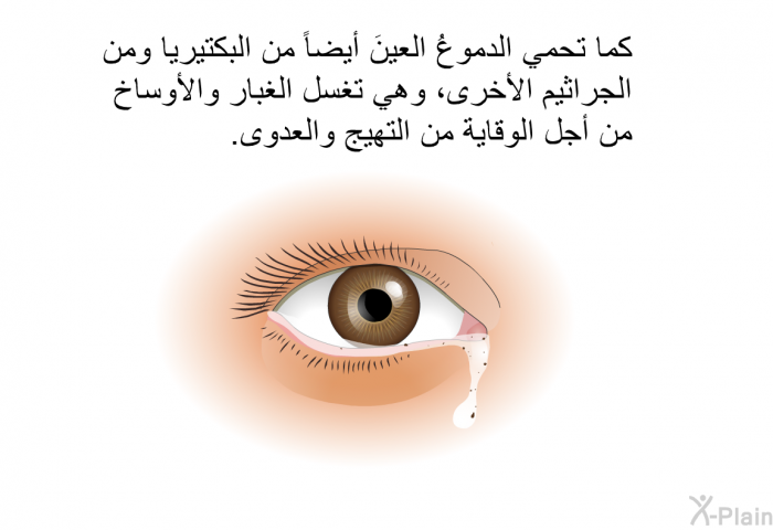 كما تحمي الدموعُ العينَ أيضاً من البكتيريا ومن الجراثيم الأخرى، وهي تغسل الغبار والأوساخ من أجل الوقاية من التهيج والعدوى.