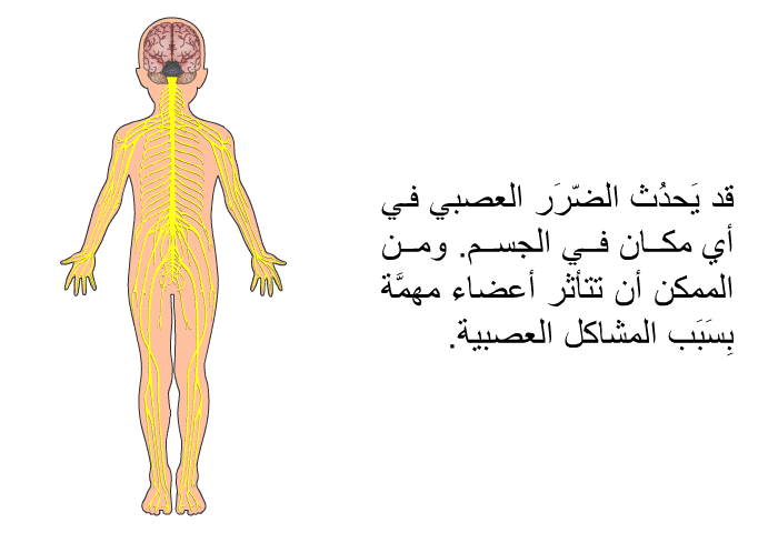 قد يَحدُث الضّرَر العصبي في أي مكان في الجسم. ومن الممكن أن تتأثر أعضاء مهمَّة بِسَبَب المشاكل العصبية.