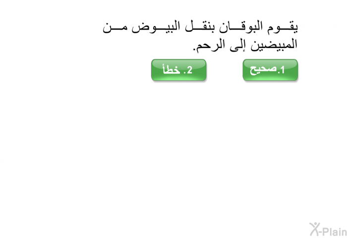 يقوم البوقان بنقل البيوض من المبيضين إلى الرحم.