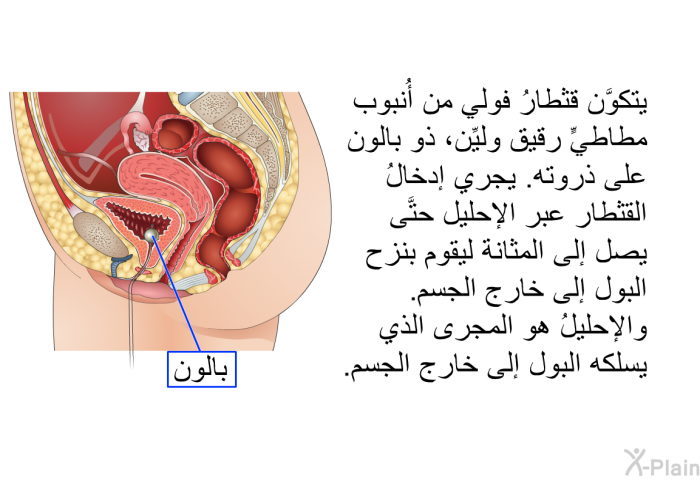 يتكوَّن قثطارُ فولي من أُنبوب مطاطيٍّ رقيق وليِّن، ذو بالون على ذروته. يجري إدخالُ القثطار عبر الإحليل حتَّى يصل إلى المثانة ليقوم بنزح البول إلى خارج الجسم. والإحليلُ هو المجرى الذي يسلكه البول إلى خارج الجسم.