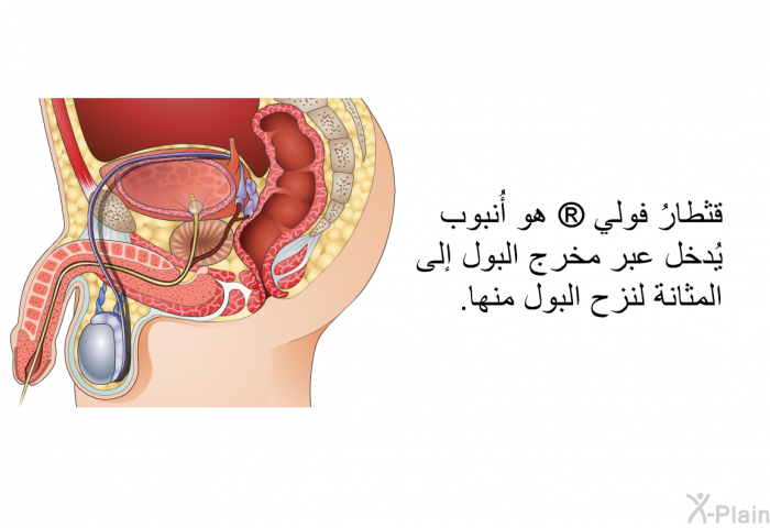 قثطارُ فولي  هو أُنبوب يُدخل عبر مخرج البول إلى المثانة لنزح البول منها.