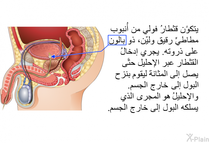 يتكوَّن قثطارُ فولي من أُنبوب مطاطيٍّ رقيق وليِّن، ذو بالون على ذروته. يجري إدخالُ القثطار عبر الإحليل حتَّى يصل إلى المثانة ليقوم بنزح البول إلى خارج الجسم. والإحليلُ هو المجرى الذي يسلكه البول إلى خارج الجسم.