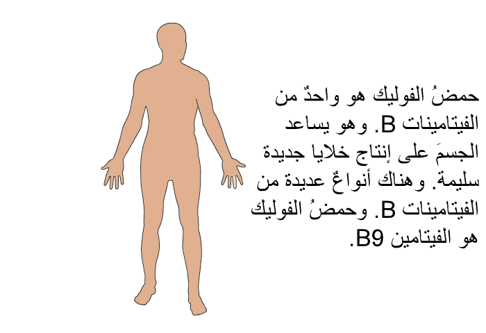 حمضُ الفوليك هو واحدٌ من الفيتامينات B. وهو يساعد الجسمَ على إنتاج خلايا جديدة سليمة. وهناك أنواعٌ عديدة من الفيتامينات B. وحمضُ الفوليك هو الفيتامين B9.