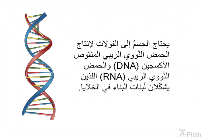 يحتاج الجسمُ إلى الفولات لإنتاج الحمض النَّووي الريبي المنقوص الأكسجين (DNA) والحمض النَّووي الريبي (RNA) اللذين يشكِّلان لَبِنات البناء في الخلايا.