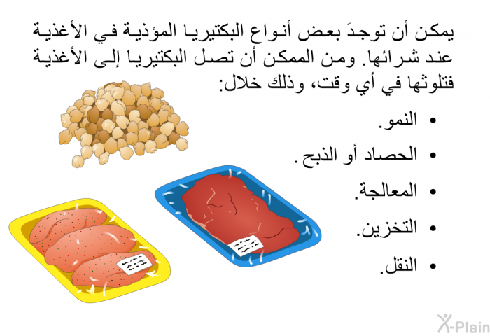 يمكن أن توجدَ بعض أنواع البكتيريا المؤذية في الأغذية عند شرائها. ومن الممكن أن تصل البكتيريا إلى الأغذية فتلوثها في أي وقت، وذلك خلال:   النمو.  الحصاد أو الذبح.  المعالجة.  التخزين. النقل.