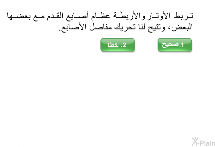 تربط الأوتار والأربطَة عظام أصابع القدم مع بعضها البعض ، وتتيح لنا تحريك مفاصل الأصابع.