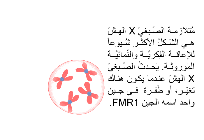 مُتلازمة الصِّبغيّ X الهشّ هي الشّكلُ الأكثر شُيوعاً للإعاقة الفِكريَّة والنّمائيَّة المَوروثة. يَحدثُ الصِّبغيّ X الهشّ عندما يكون هناك تغيّر، أو طَفرَة, في جين واحد اسمه الجين FMR1.
