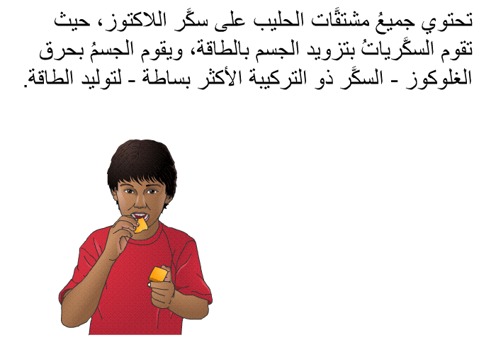 تحتوي جميعُ مشتقَّات الحليب على سكَّر اللاكتوز، حيث تقوم السكَّرياتُ بتزويد الجسم بالطاقة، ويقوم الجسمُ بحرق الغلوكوز – السكَّر ذو التركيبة الأكثر بساطة – لتوليد الطاقة.