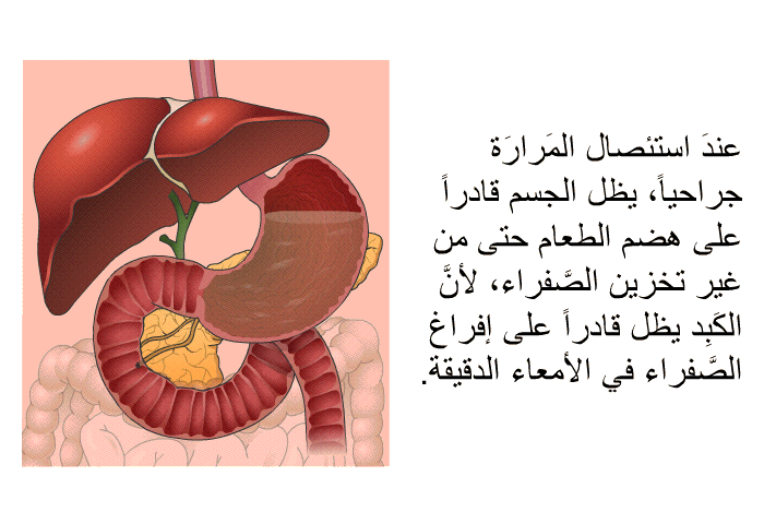 عندَ استئصال المَرارَة جراحياً، يظل الجسم قادراً على هضم الطعام حتى من غير تخزين الصَّفراء، لأنَّ الكَبِد يظل قادراً على إفراغ الصَّفراء في الأمعاء الدقيقة.