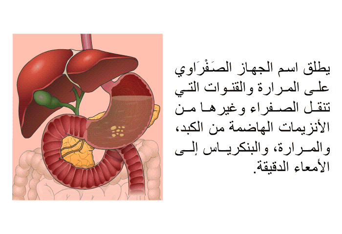 يطلق اسم الجهاز الصَفْرَاوي على المرارة والقنوات التي تنقل الصفراء وغيرها من الأنزيمات الهاضمة من الكبد، والمرارة، والبنكرياس إلى الأمعاء الدقيقة.