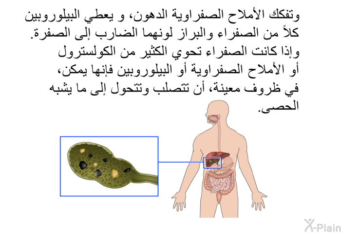 وتفكك الأملاح الصفراوية الدهون، و يعطي البيلوروبين كلاً من الصفراء والبراز لونهما الضارب إلى الصفرة. وإذا كانت الصفراء تحوي الكثير من الكولسترول أو الأملاح الصفراوية أو البيلوروبين فإنها يمكن، في ظروف معينة، أن تتصلب وتتحول إلى ما يشبه الحصى.