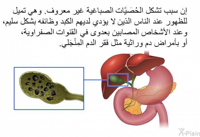 إن سبب تشكل الحُصَيَّات الصباغية غير معروف. وهي تميل للظهور عند الناس الذين لا يؤدي لديهم الكبد وظائفه بشكل سليم، وعند الأشخاص المصابين بعدوى في القنوات الصفراوية، أو بأمراض دم وراثية مثل فَقر الدم المِنْجَلي.