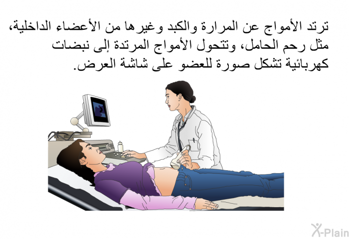 ترتد الأمواج عن المرارة والكبد وغيرها من الأعضاء الداخلية، مثل رحم الحامل، وتتحول الأمواج المرتدة إلى نبضات كهربائية تشكل صورة للعضو على شاشة العرض.