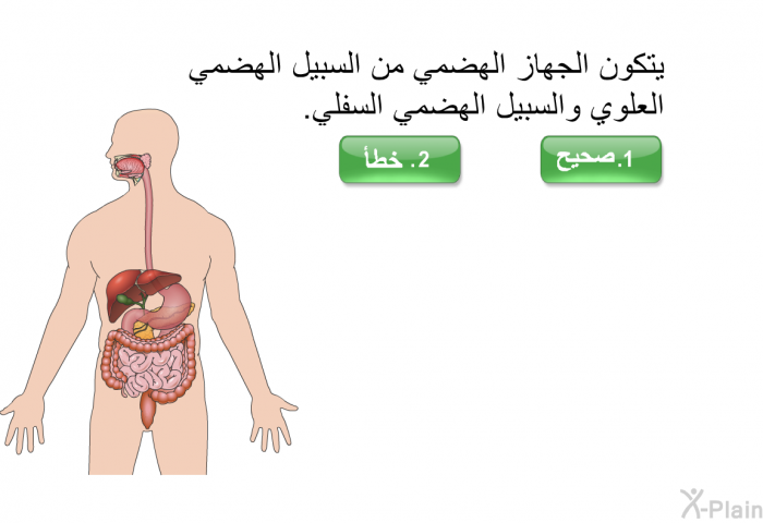 يتكون الجهاز الهضمي من السبيل الهضمي العلوي والسبيل الهضمي السفلي.