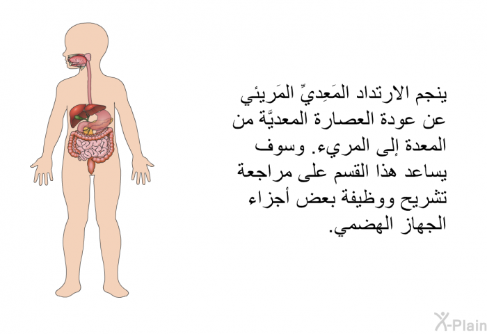 ينجم الارتداد المَعِديِّ المَريئي عن عودة العصارة المعديَّة من المعدة إلى المريء. وسوف يساعد هذا القسم على مراجعة تشريح ووظيفة بعض أجزاء الجهاز الهضمي.