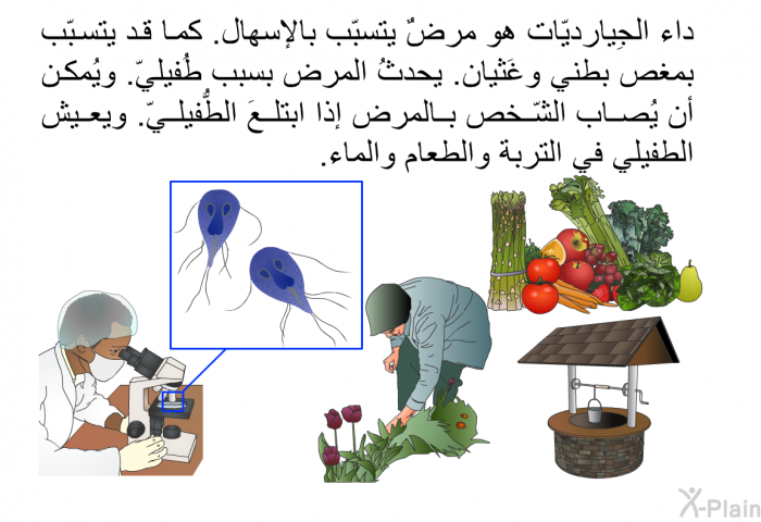 داء الجِيارديّات هو مرضٌ يتسبّب بالإسهال. كما قد يتسبّب بمغص بطني وغَثيان. يحدثُ المرض بسبب طُفيليّ. ويُمكن أن يُصاب الشّخص بالمرض إذا ابتلعَ الطُّفيليّ. ويعيش الطفيلي في التربة والطعام والماء.