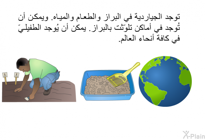 توجد الجياردية في البراز والطعام والمياه. ويمكن أن تُوجد في أماكن تلوّثت بالبراز. يمكن أن يُوجد الطفيليّ في كافة أنحاء العالم.